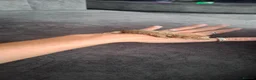 Gecko reptiles for sale: Chahoua gecco - Advert 3