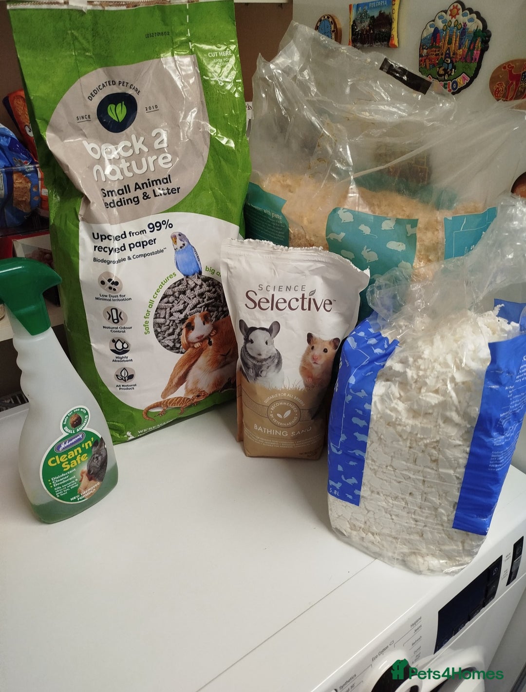 Hamster rodents for sale: Dwarf Hamster for sale with all the extras - Advert 7