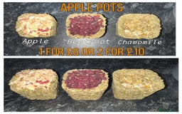 Hamster rodents for sale: Baby hamsters - Advert 3