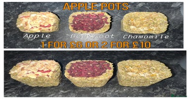 Hamster rodents Baby hamsters - Advert 3