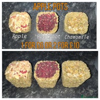 Hamster rodents Baby hamsters - Advert 2