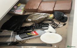 Tortoise reptiles for sale: 2 Hermann tortoises plus enclosure for sale - Image 6