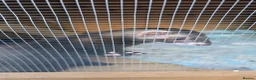 Ferret rodents for sale: Our gorgeous Kit Hobs looking for a home  in Hassocks - Advert 2