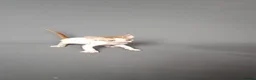 Cornish Rex cats for sale: Cornish Rex Kittens Available for Reservation  - Advert 19