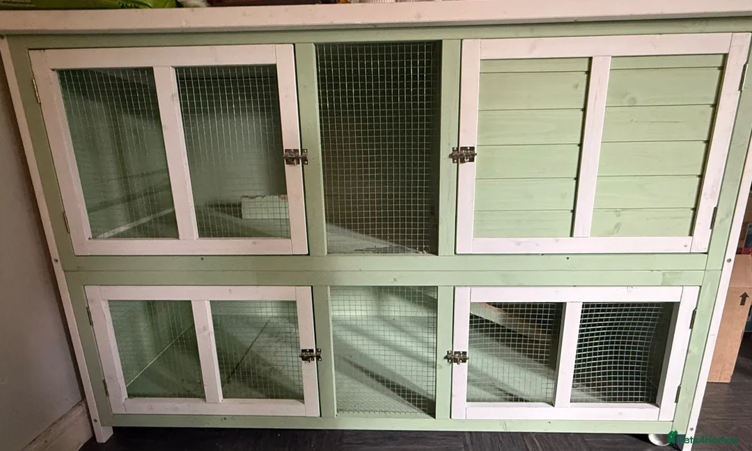 Mixed Breed rabbits for sale: Hutch for sale - no rabbit included  - Advert 1