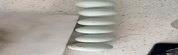 Mixed Breed poultry for sale: Fertile eggs  - Advert 4