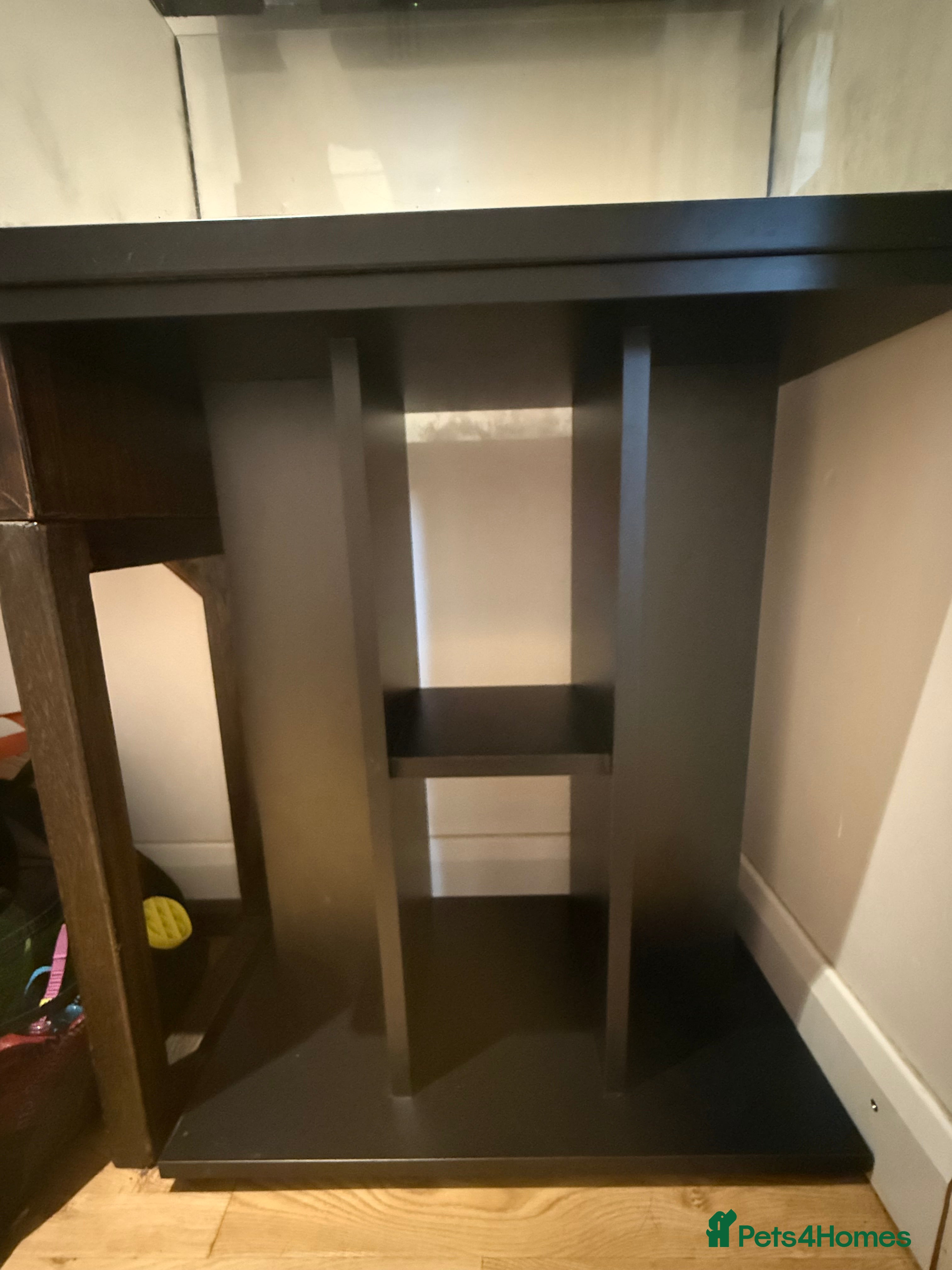 Turtle reptiles Juwel 60L Aquarium Cabinet only - Advert 10