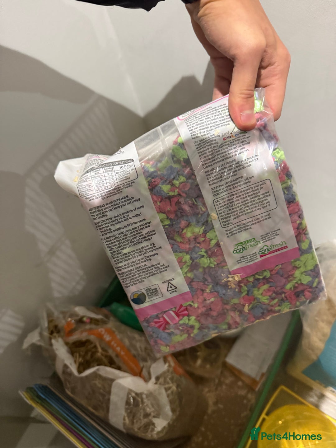 Gerbil rodents for sale: Two male gerbils to be rehomed asap - Image 8