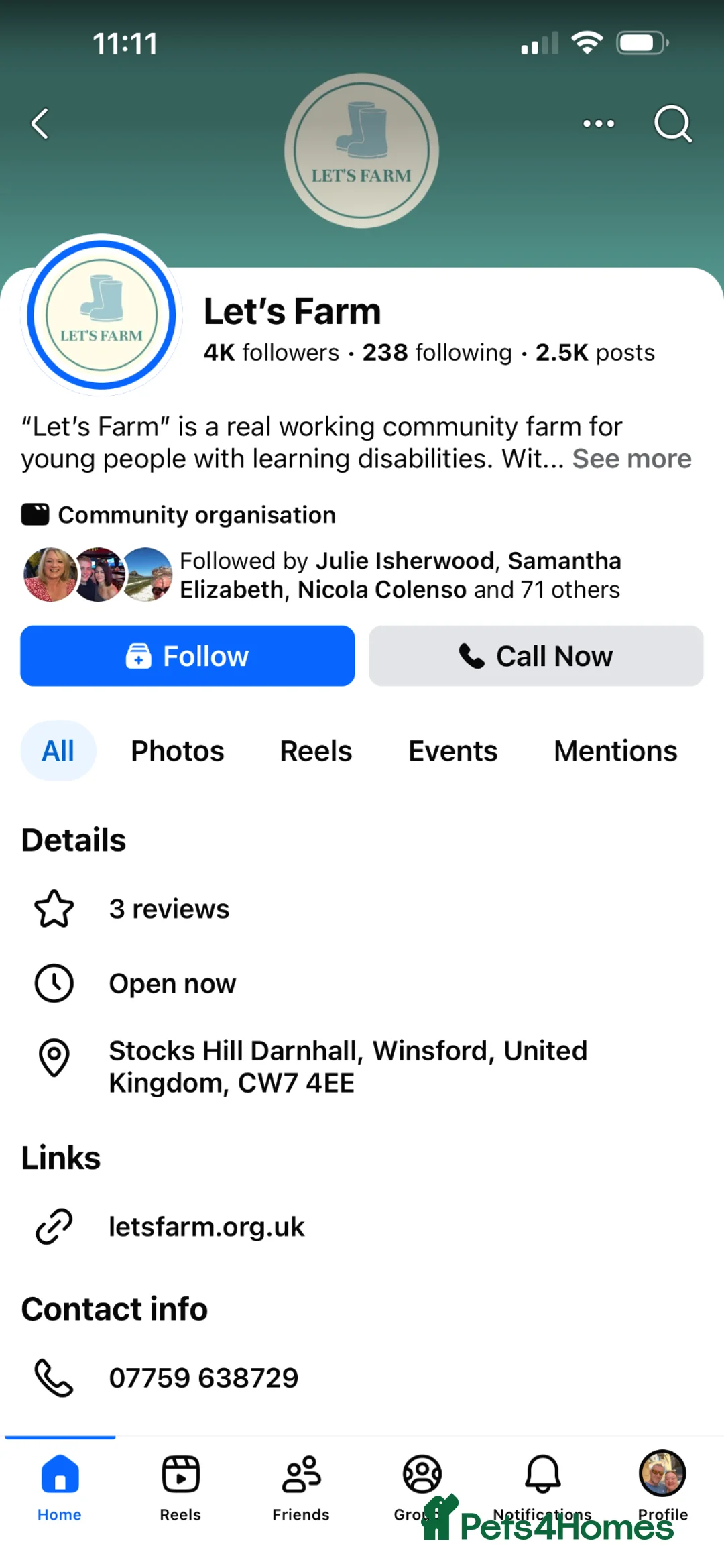 Mixed Breed rabbits for sale: Teddy rabbits for sale  - Advert 19