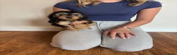 Cockapoo dogs for sale: Cockapoo puppies  - Advert 7