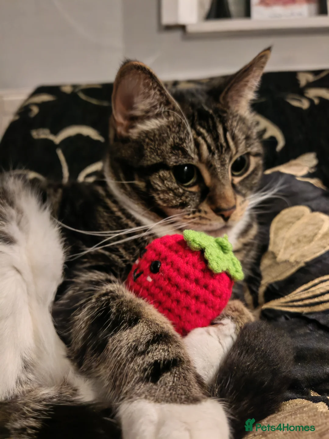 Gallery Image {{count}}