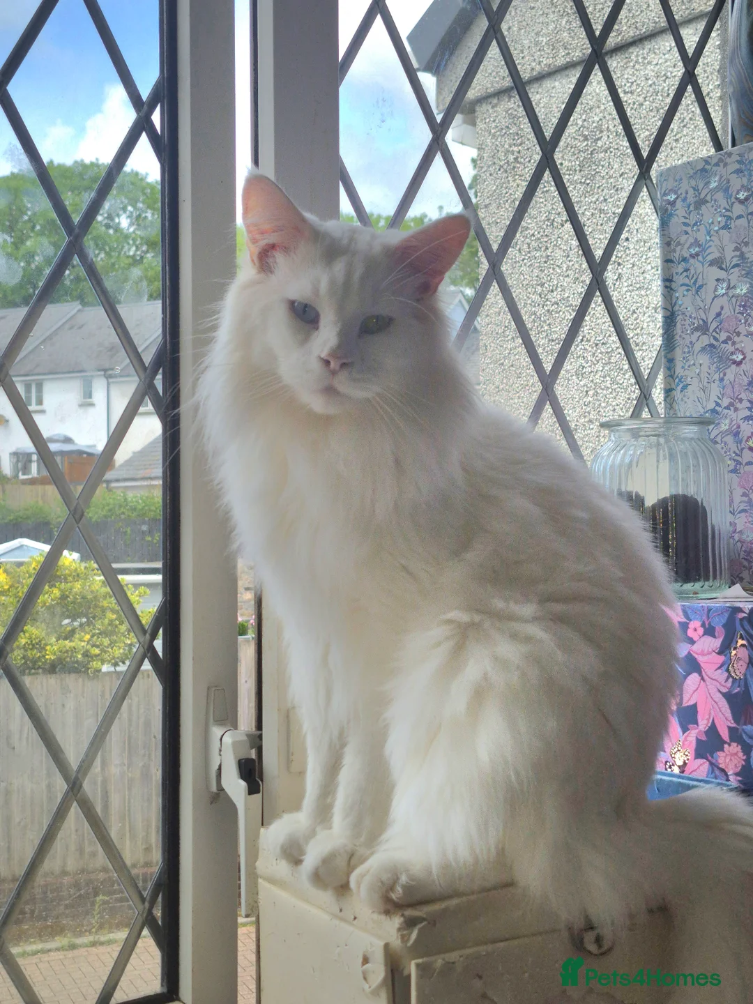 Gallery Image {{count}}