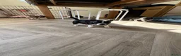 Mixed Breed dogs for sale: Boston terrier cross puppies - Advert 12