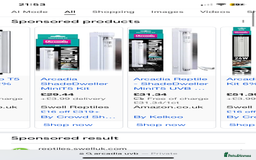 Leopard Gecko reptiles for sale: Leopard gecko for rehome  - Advert 4