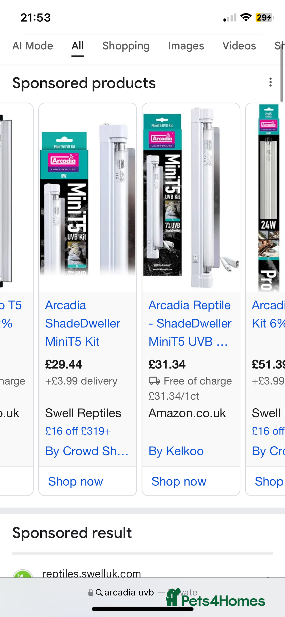 Leopard Gecko reptiles for sale: Leopard gecko for rehome  - Advert 4