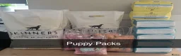 Cockapoo dogs for sale: Cockapoo puppies - Advert 7