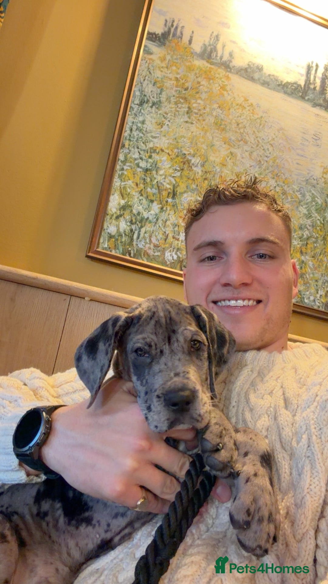 Gallery Image {{count}}