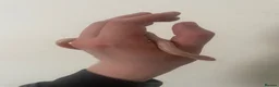 King Snake reptiles for sale: Abberant albino California King snake in Grimsby - Advert 2