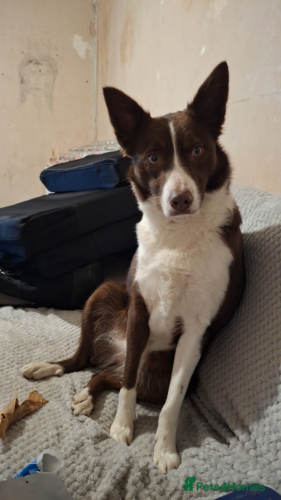 Coco
