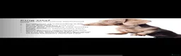 Miniature Dachshund dogs for sale: Isabella/Tan KC Registered Miniature Dachshunds,  - Advert 3