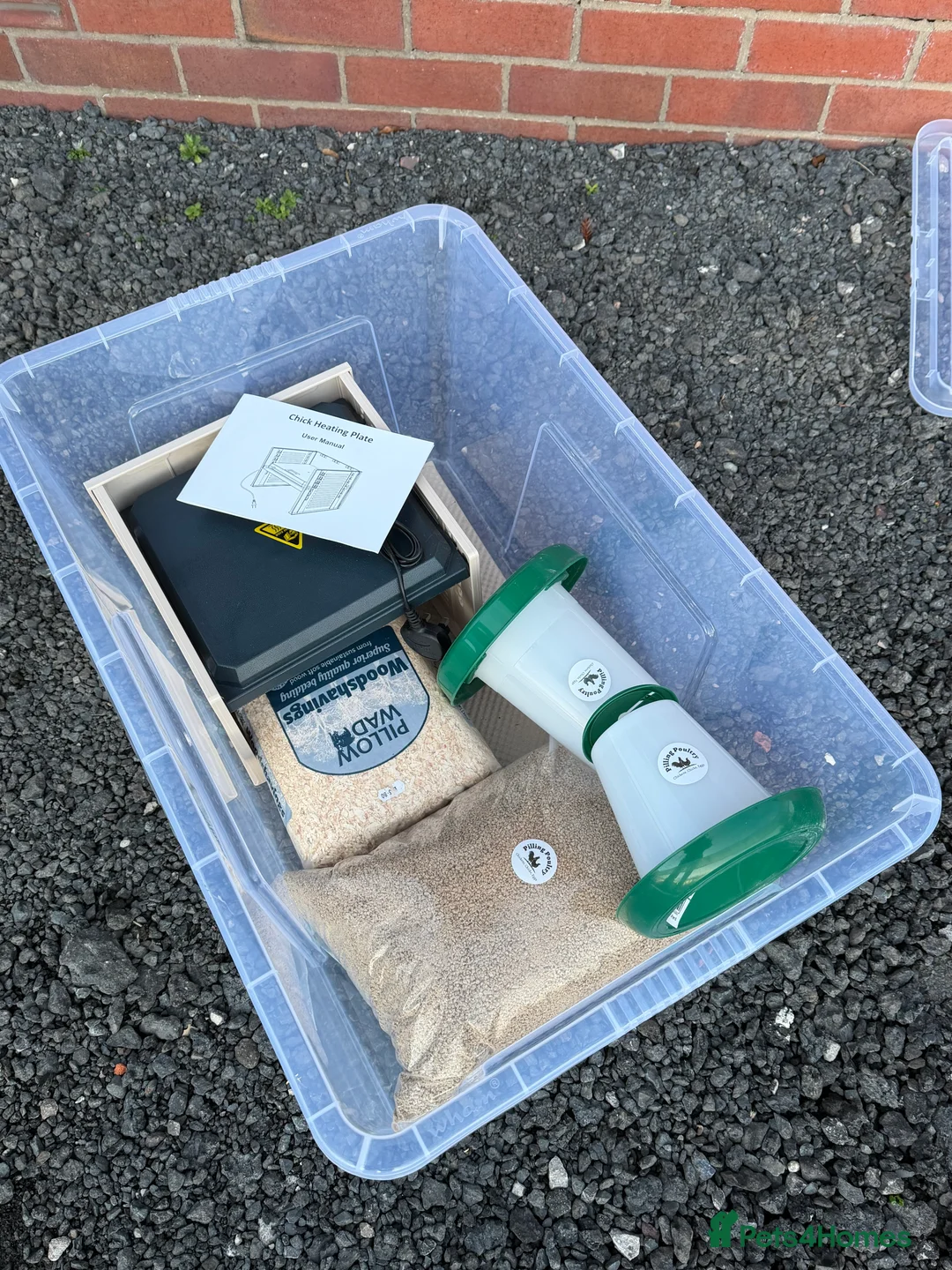 Mixed Breed poultry for sale: Chick Rearing Kit - Advert 7