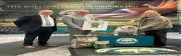 English Bulldog dogs for sale: Double CRUFTS winners bred bulldog puppies  - Advert 9