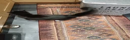 Mixed Breed cats for sale: Cat female  - Advert 3