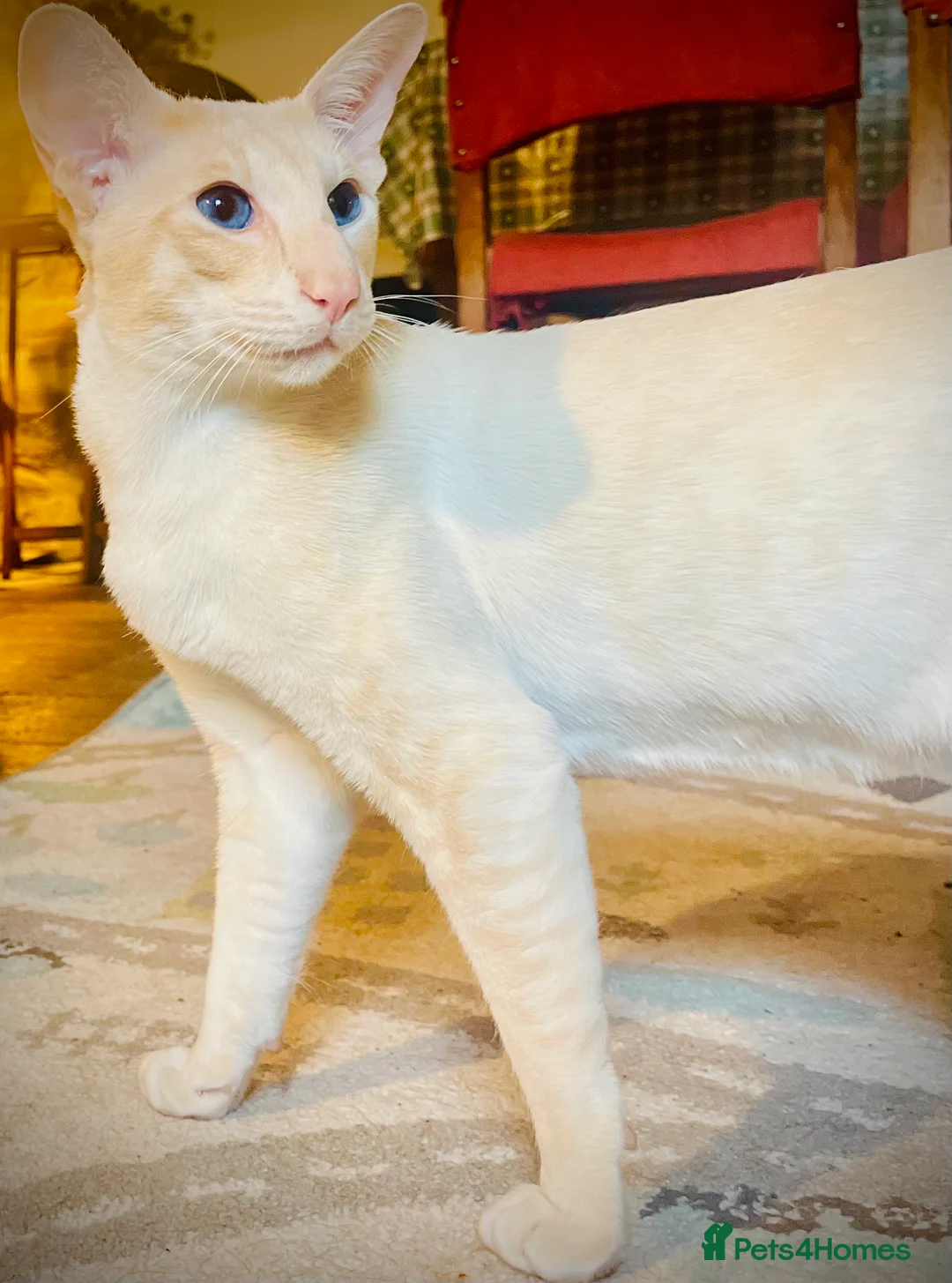 Gallery Image {{count}}