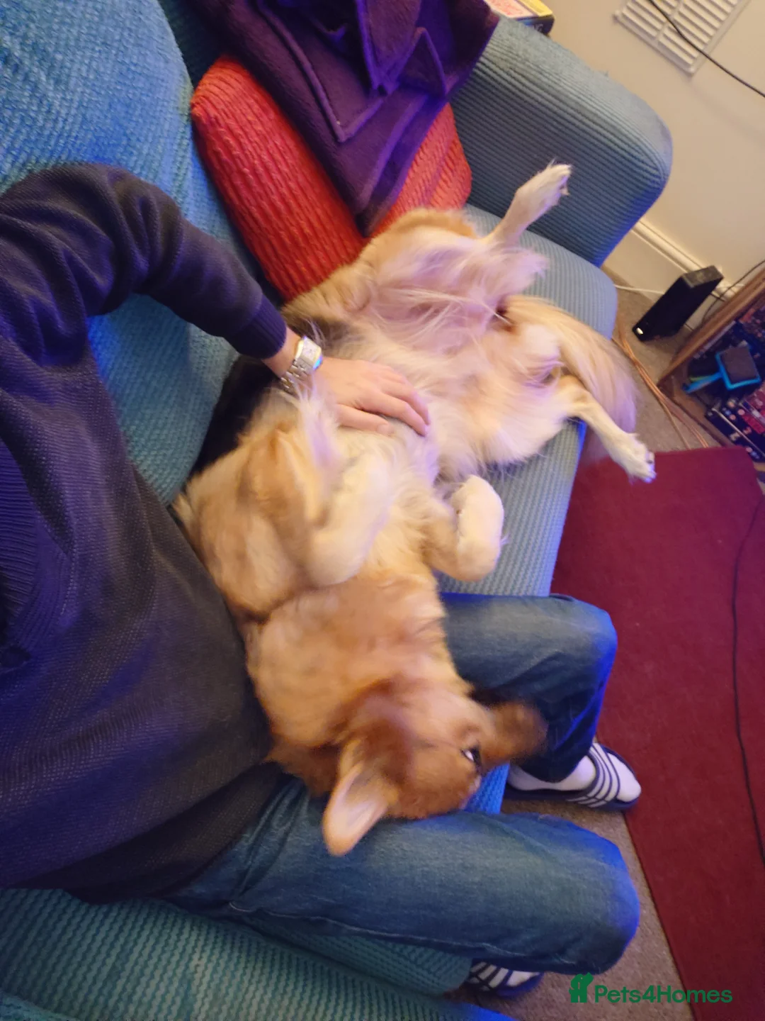 Gallery Image {{count}}