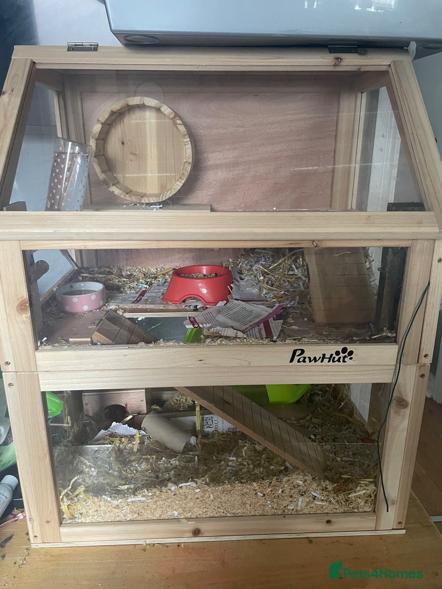 Hamster rodents Hamster and cage  - Advert 1