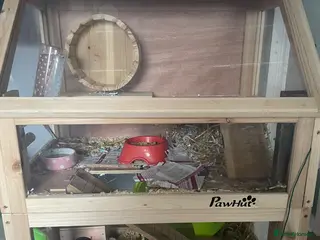 Hamster rodents Hamster and cage - Advert 1