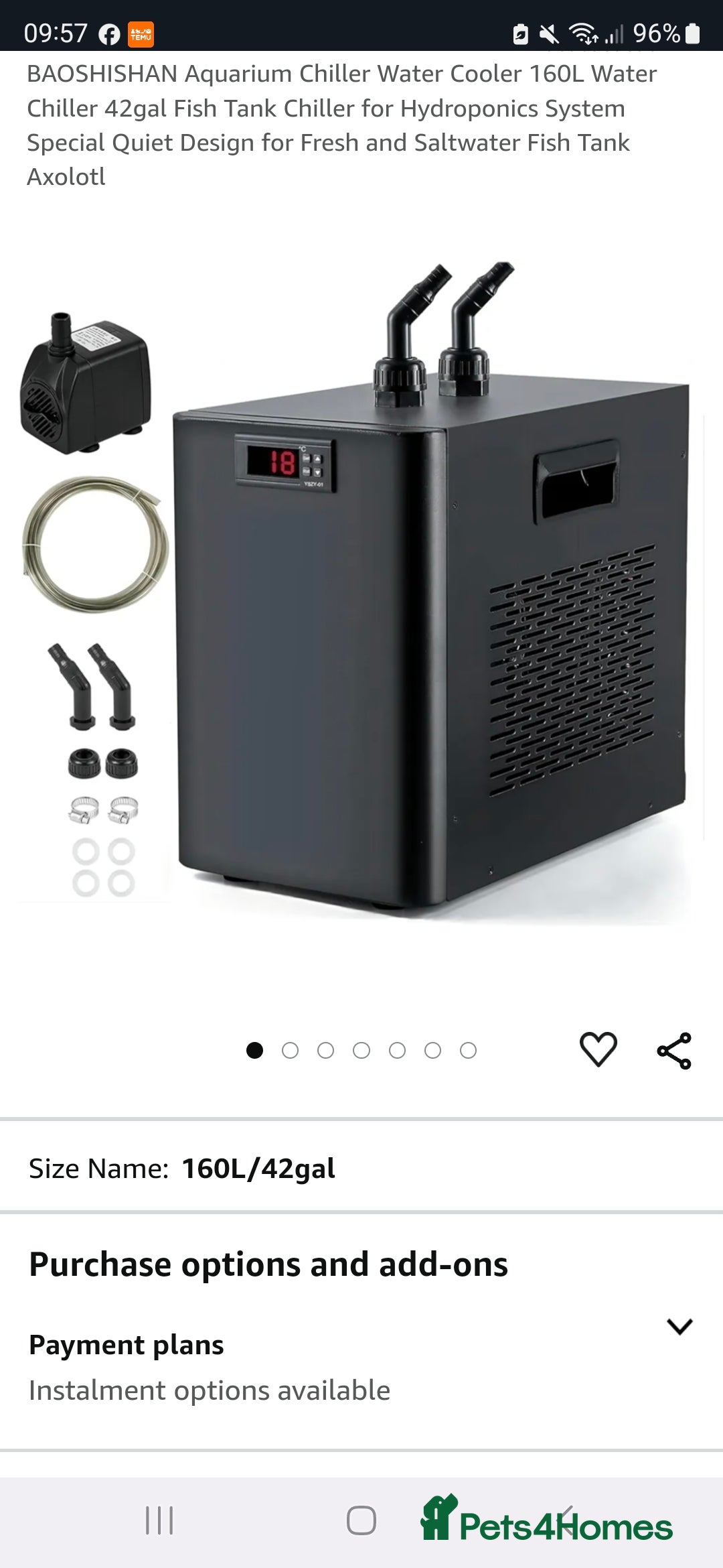 Axolotl reptiles for sale: A pair of male axolotl  - Advert 8