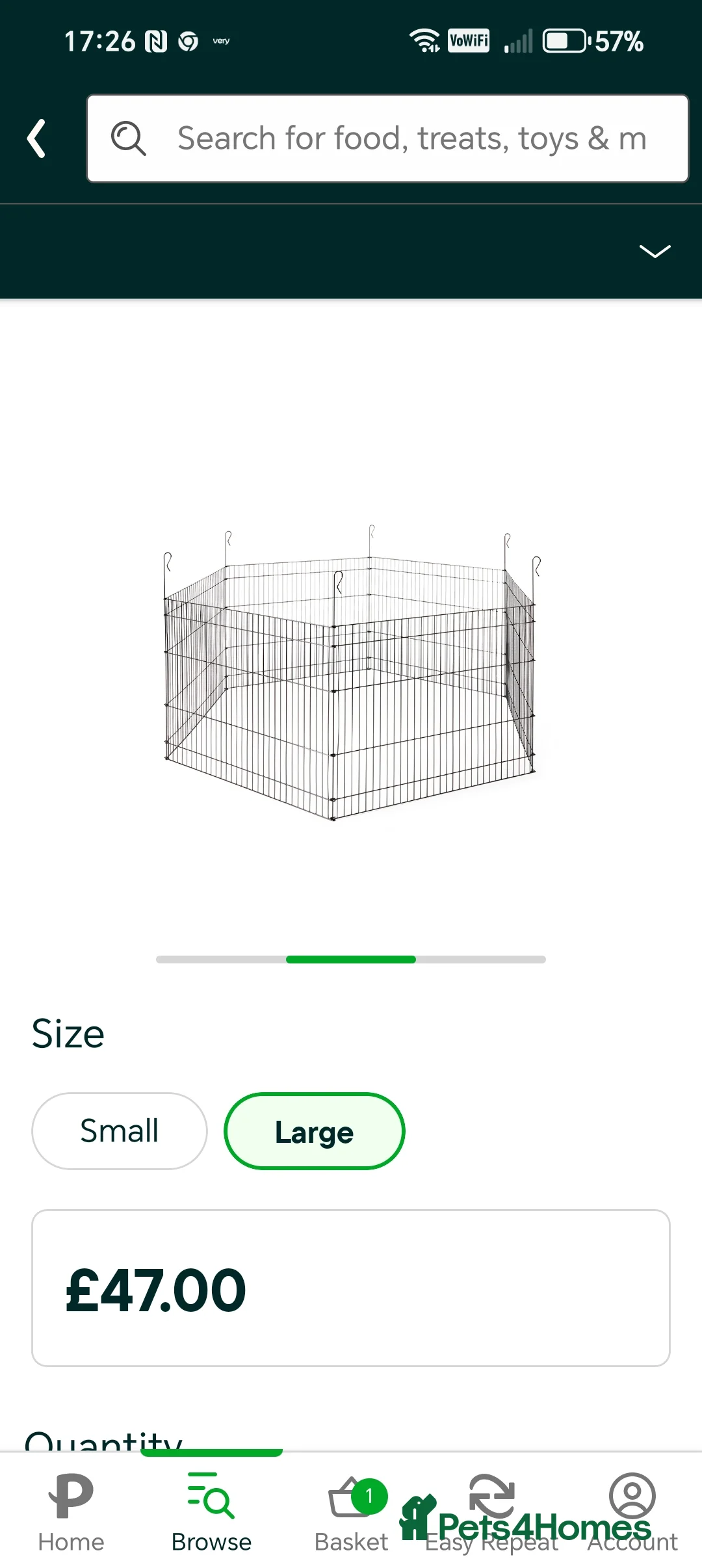 Guinea Pig rodents for sale: 2 male guinea pigs in ELY - Advert 6