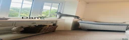 Italian Greyhound dogs for sale: Outstanding KC reg Italian greyhound puppies  - Advert 3
