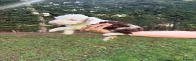 Girl 1