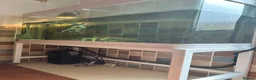 Turtle reptiles for sale: Mississippi map turtle   in Rushden - Advert 1