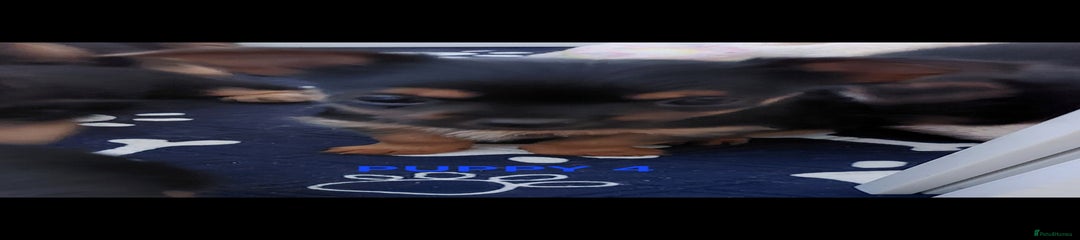 Yorkshire Terrier Puppy 4