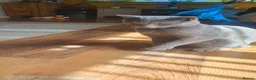 Russian Blue cats for sale: 🐾 Beautiful Russian Blue Kittens for Sale 🐾 - Advert 16