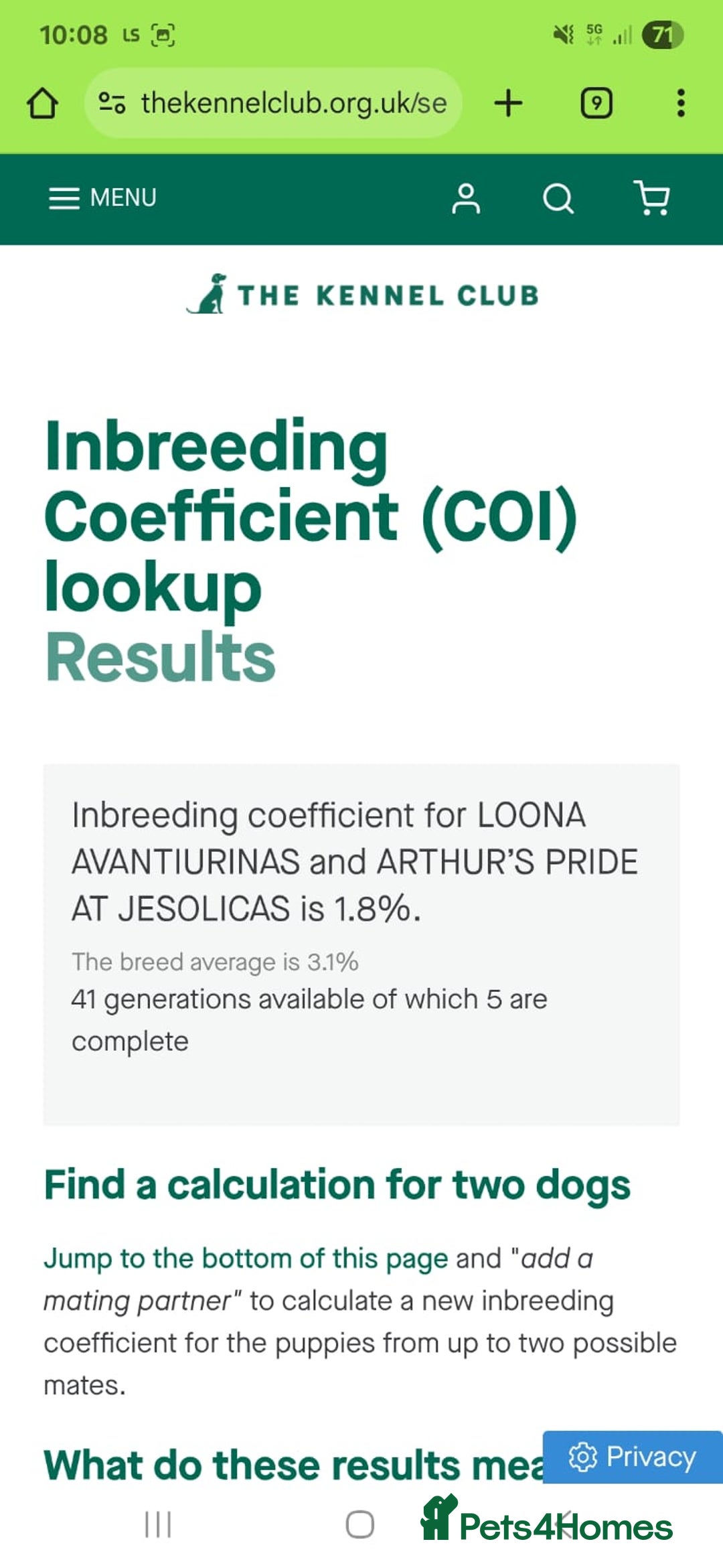 Miniature Schnauzer dogs for sale: Miniature Schnauzer puppies  - Advert 16