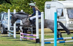 Other Breed horses for sale: Sad sale of well loved pony! - Image 1