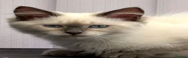 Siberian 2