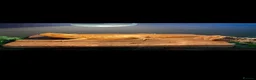 Bearded Dragon reptiles for sale: Bearded dragon  - Advert 1