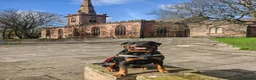 Rottweiler dogs for stud: Rottweiler for stud full pedigree, health tested  - Advert 1