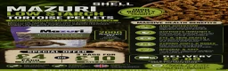 Hermann Tortoise reptiles for sale: Baby Hermanns Hatchlings & Set Ups!! - Advert 4