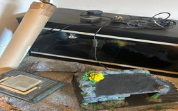 Bearded Dragon reptiles for sale: Reptile accessories and vivarium available - Advert 11