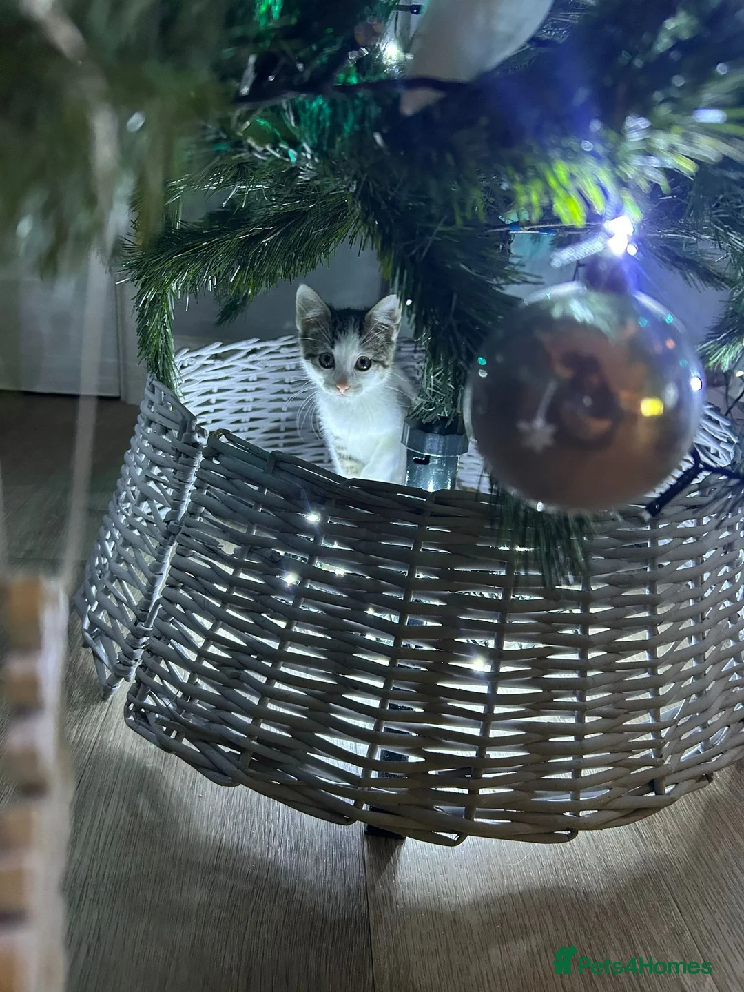 Gallery Image {{count}}