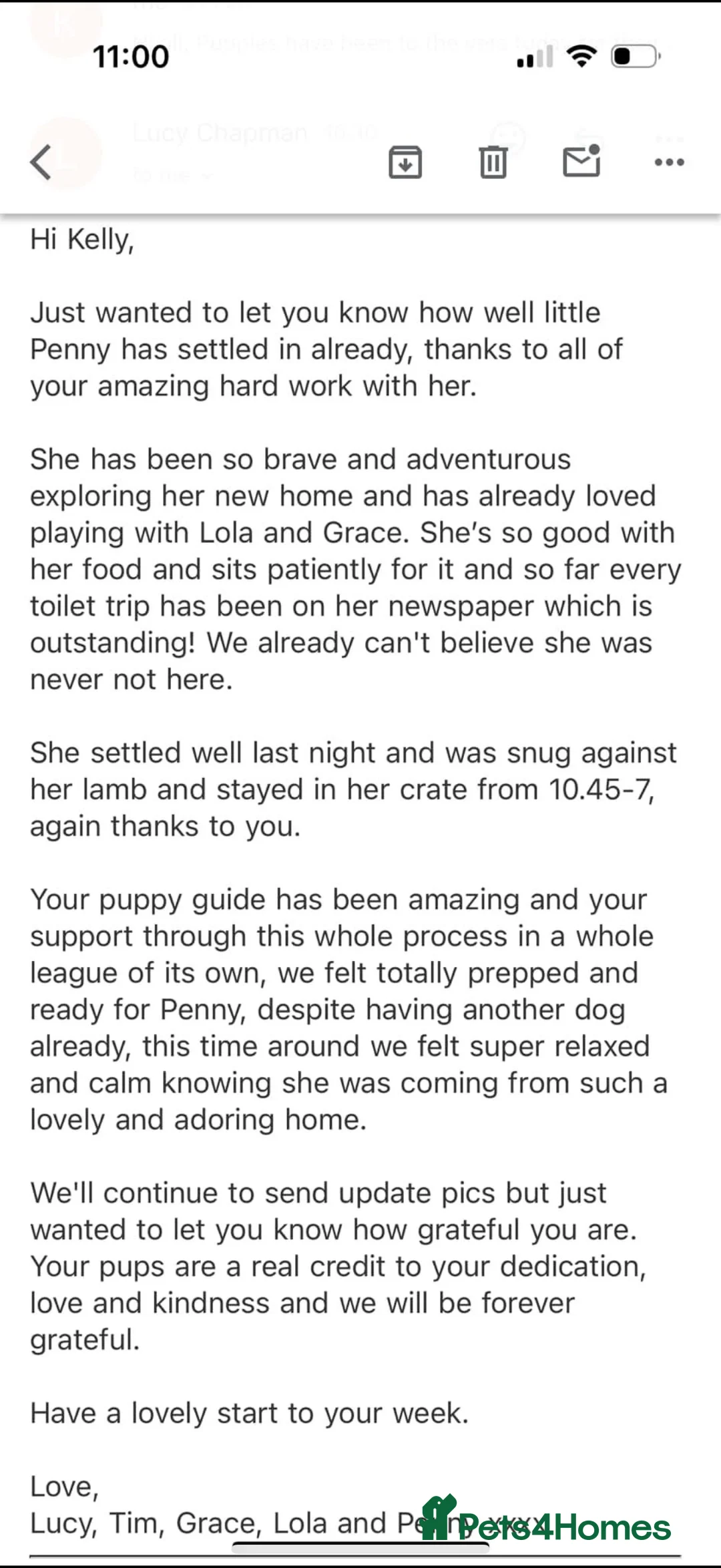 Cavapoo dogs for sale: Beautiful F1 Red Cavapoos- Health Tested - Advert 17