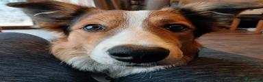 Maggie 