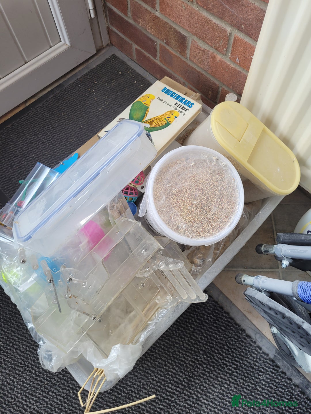 Budgerigars birds for sale: 10 Budgies and 2 large cages - Image 10