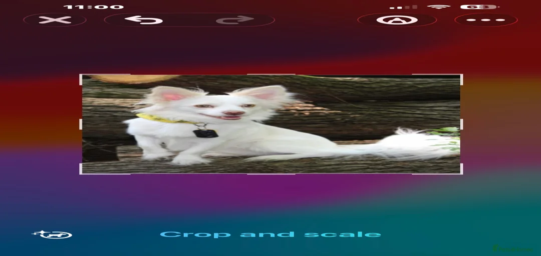 Gallery Image {{count}}